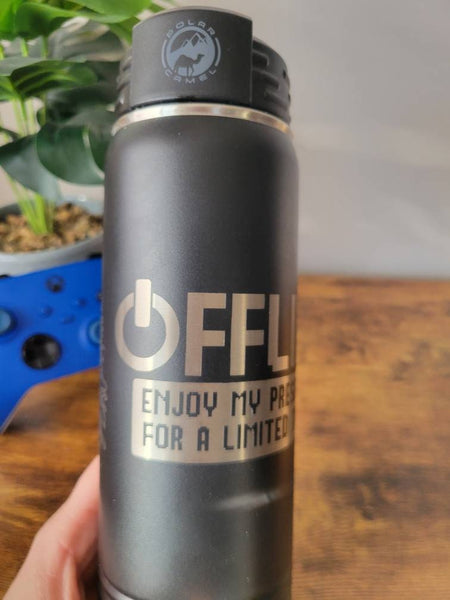 Laser Engraved Gamer Water Bottle, Funny Offline Quote, Stainless Steel Tumbler